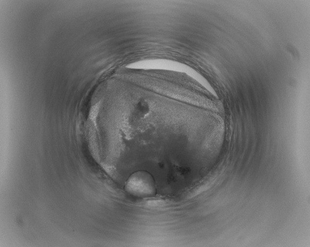 X0000115040228200911161534