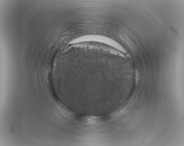 X0000115040229200911161534