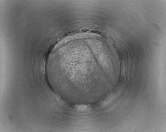 X0000115040230200911161534