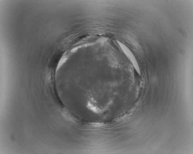 X0000115040233200911161533