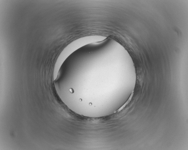 X0000115040235200911161533