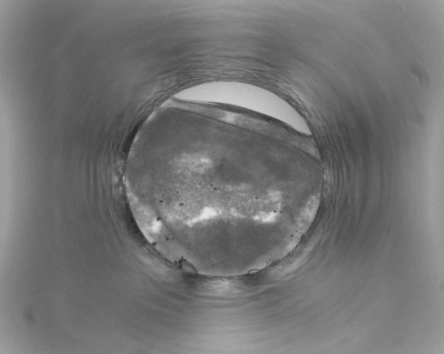 X0000115040237200911161533