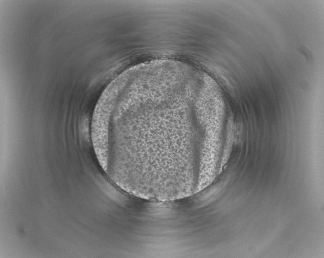 X0000115040238200911161533