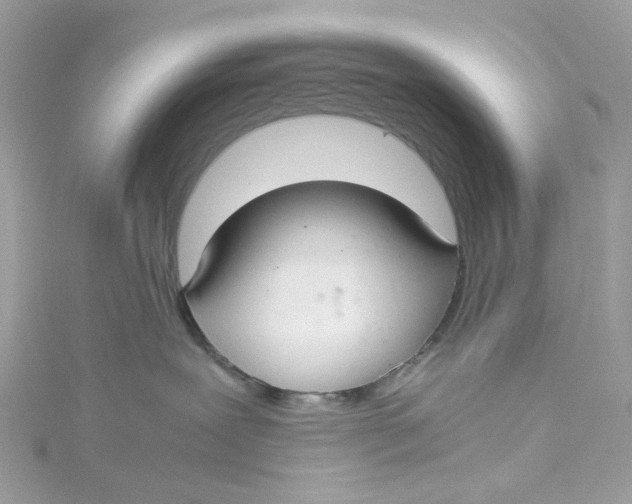 X0000115040239200911161533