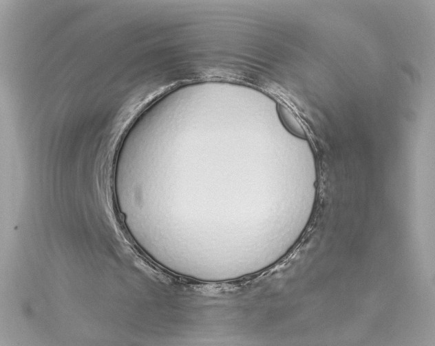 X0000115040241200911161533