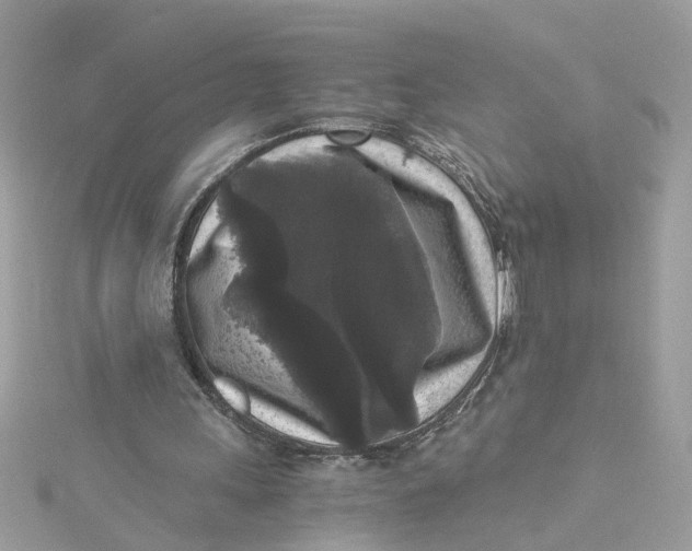 X0000115040243200911161533