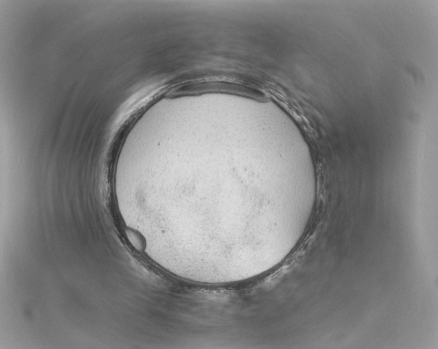 X0000115040245200911161533