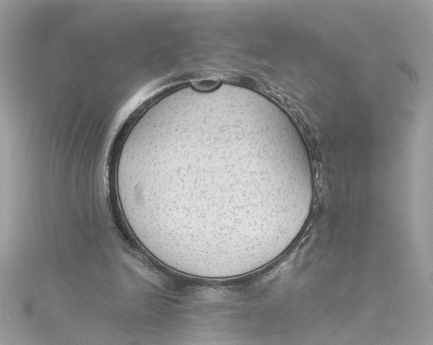 X0000115040246200911161533