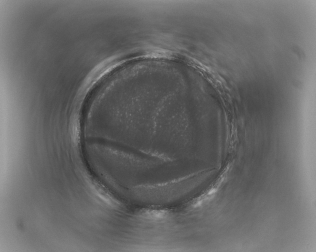 X0000115040247200911161533