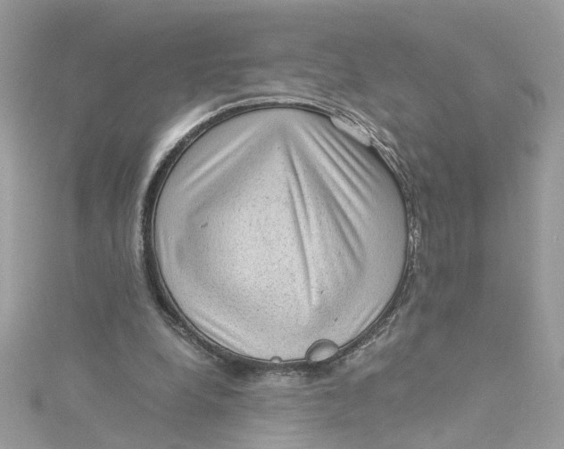 X0000115040248200911161533