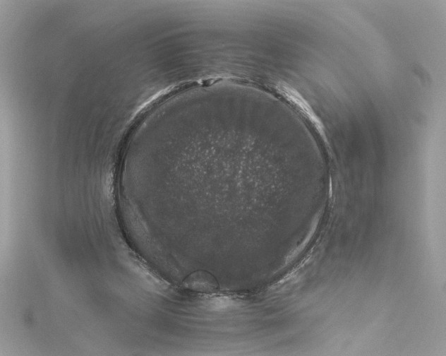 X0000115040249200911161533