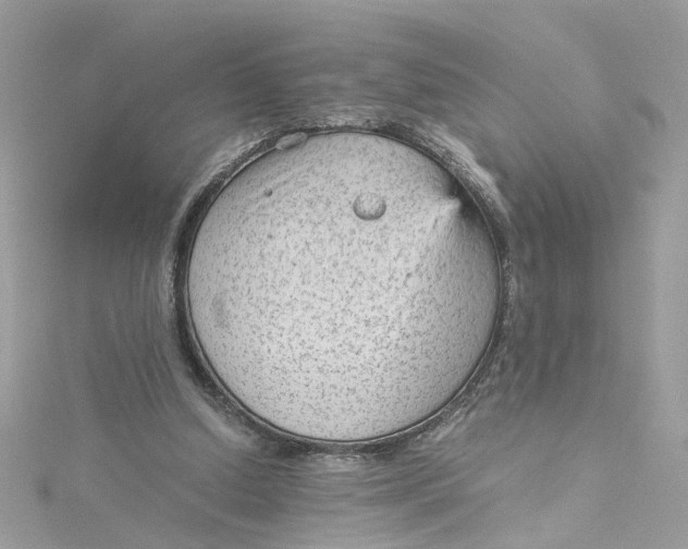 X0000115040250200911161533