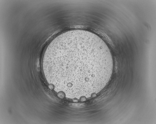 X0000115040251200911161533