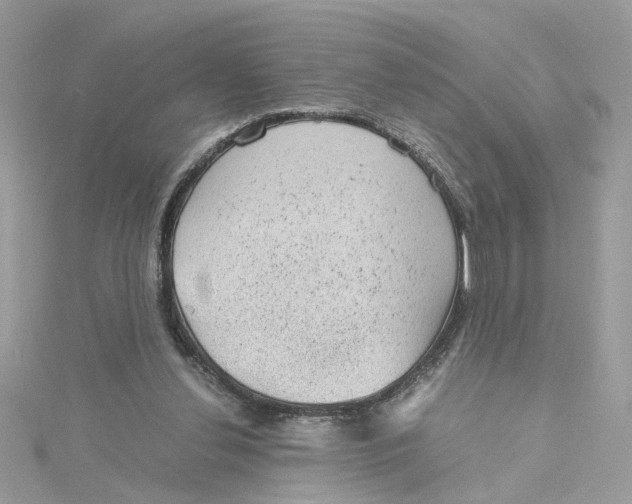 X0000115040252200911161533