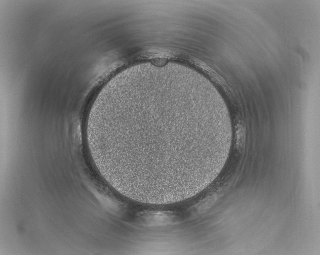 X0000115040254200911161533