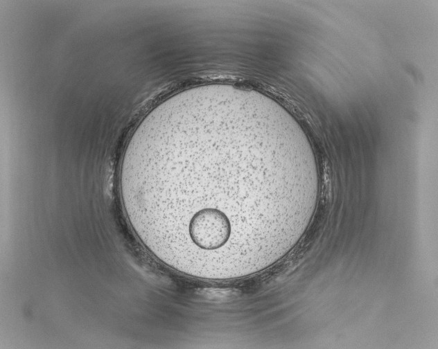 X0000115040255200911161533