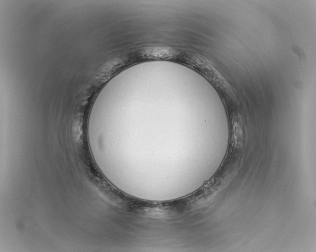 X0000115040259200911161533