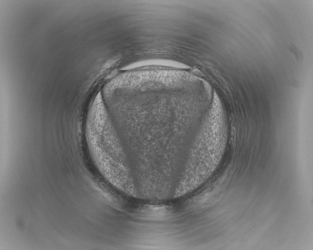 X0000115040260200911161533