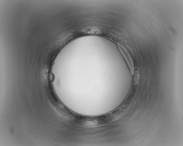 X0000115040263200911161533