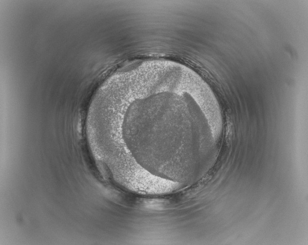 X0000115040268200911161533