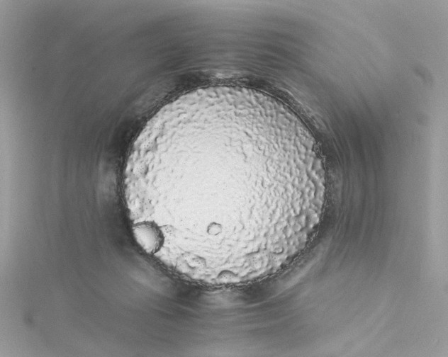 X0000115040269200911161533