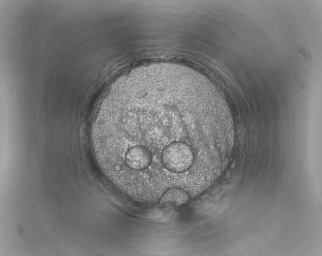 X0000115040270200911161533