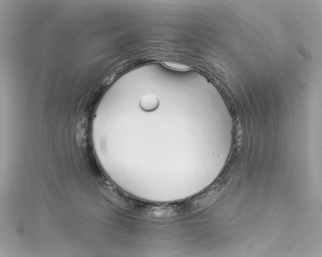 X0000115040275200911161533