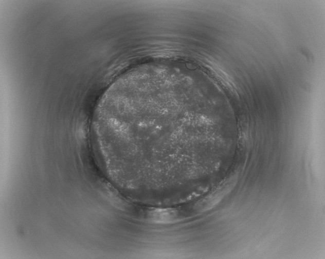 X0000115040277200911161533