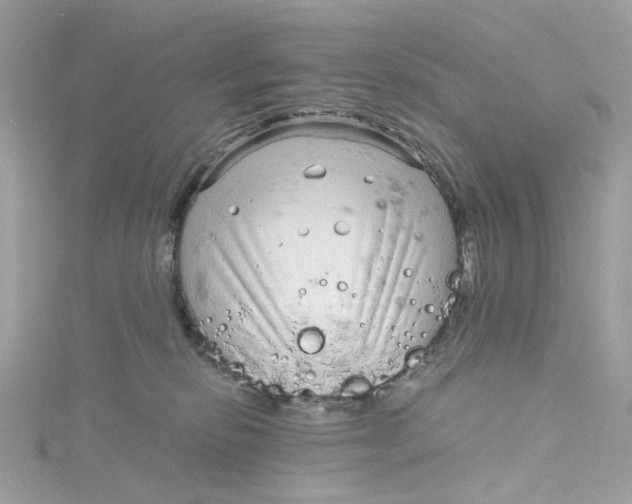 X0000115040278200911161533