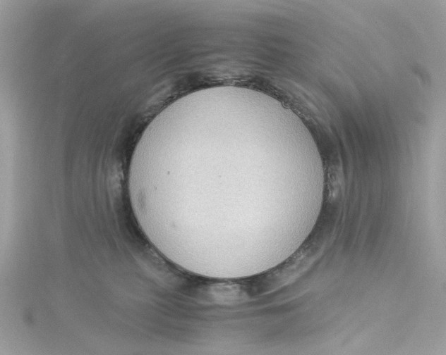 X0000115040279200911161533