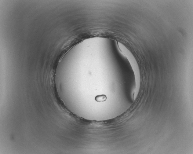 X0000115040280200911161533