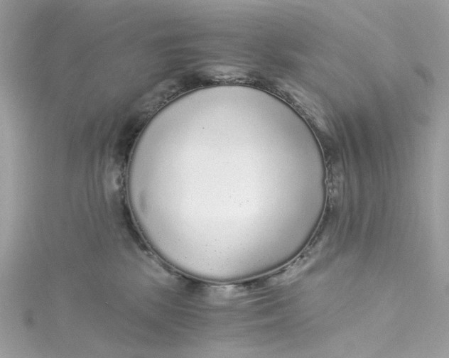 X0000115040281200911161533