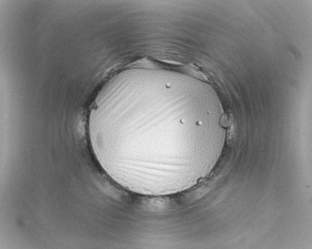 X0000115040282200911161533