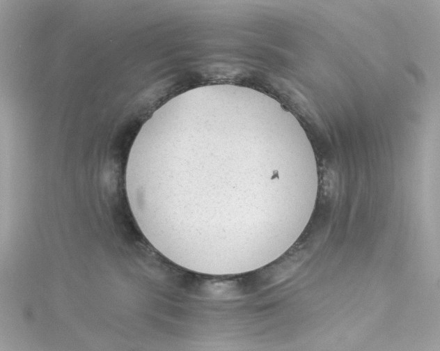 X0000115040283200911161533