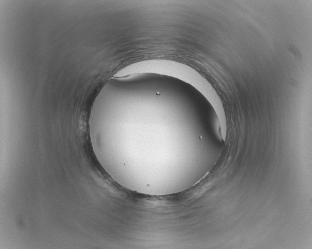 X0000115040284200911161533