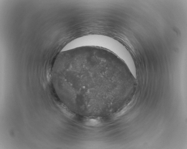 X0000115040285200911161533