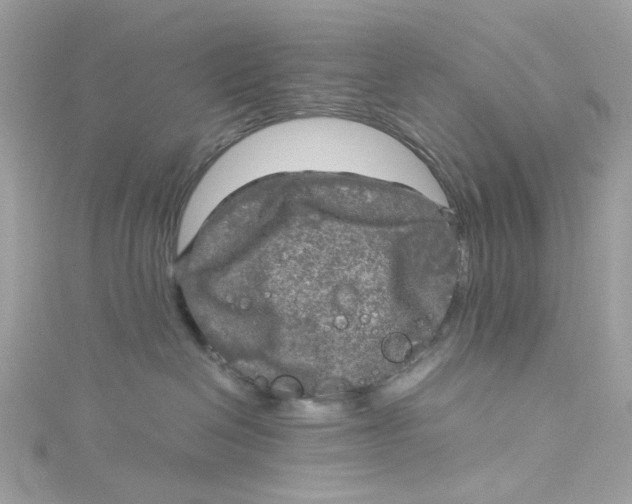 X0000115040286200911161533