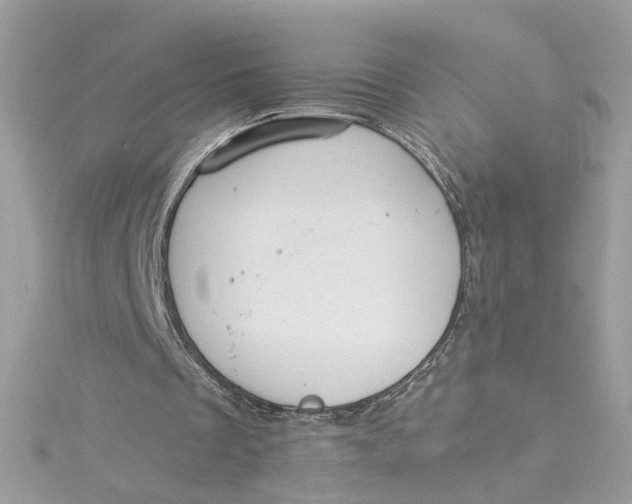 X0000115040289200911161533