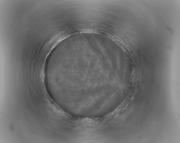 X0000115040290200911161533