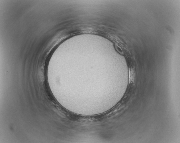 X0000115040291200911161533