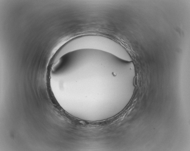 X0000115040292200911161533