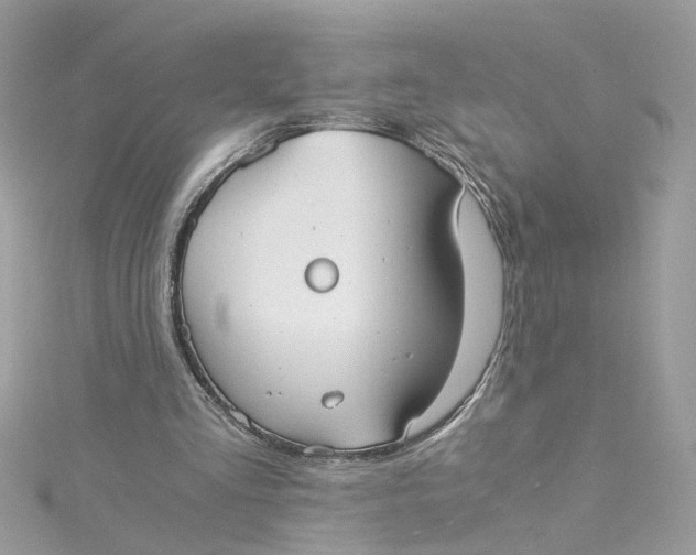 X0000115040293200911161533