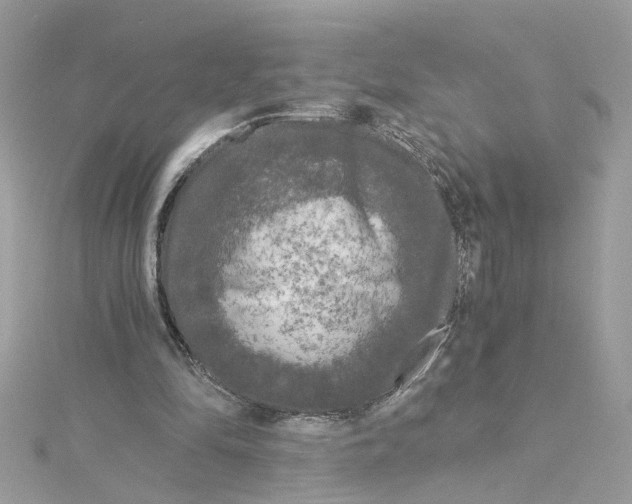 X0000115040294200911161533