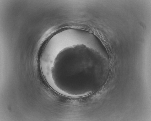 X0000115040295200911161533