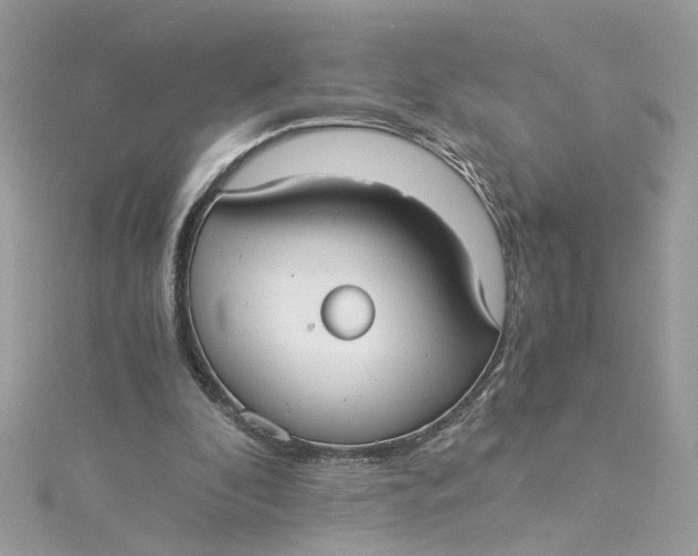 X0000115040296200911161533