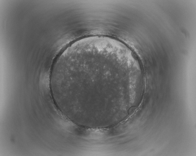 X0000115040297200911161533