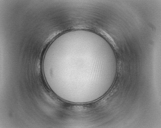 X0000115040298200911161533