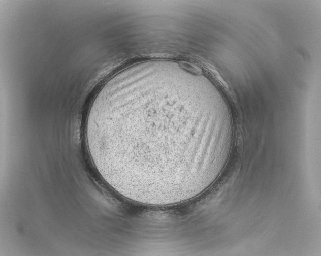 X0000115040299200911161533