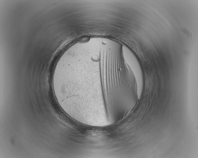 X0000115040300200911161533