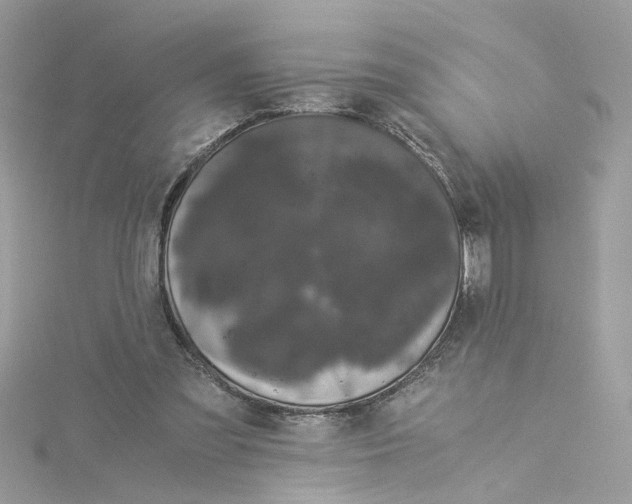 X0000115040301200911161533